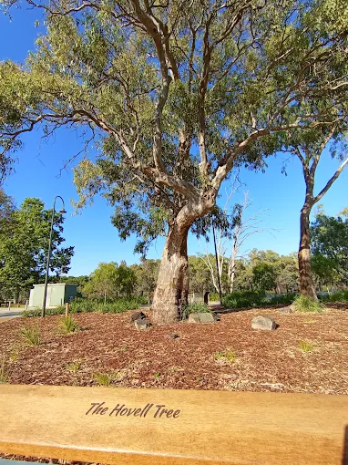 Hovell Tree Park